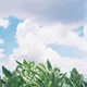 당근당근