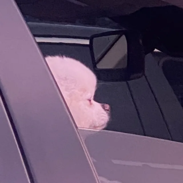 에이이췽