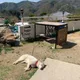 안녕하세오