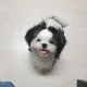별별