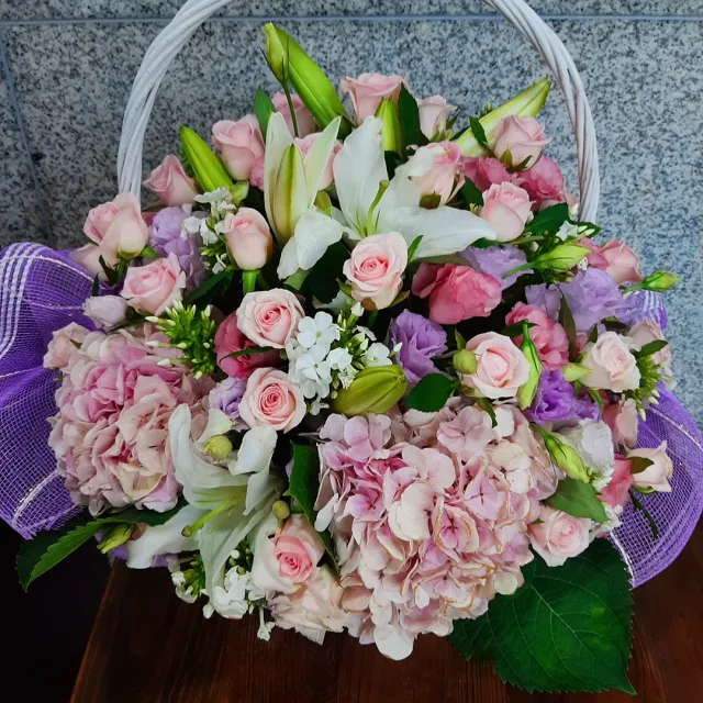 유럽