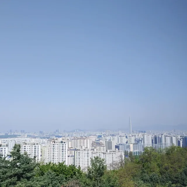리체