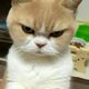 ๋จ๊ณจ๊ณ ๊ฐ๋