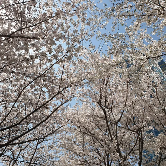 좋은거래