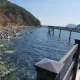 거제딸기맘