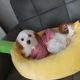 쌩이