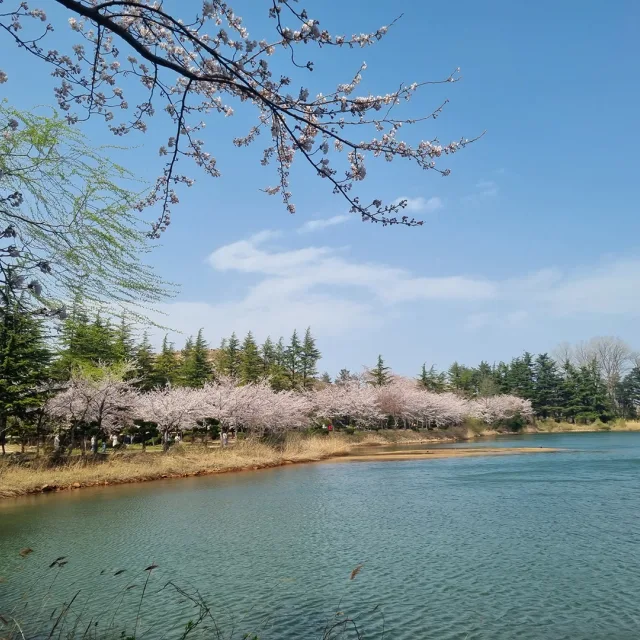 영아