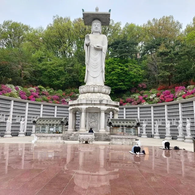 곶감이