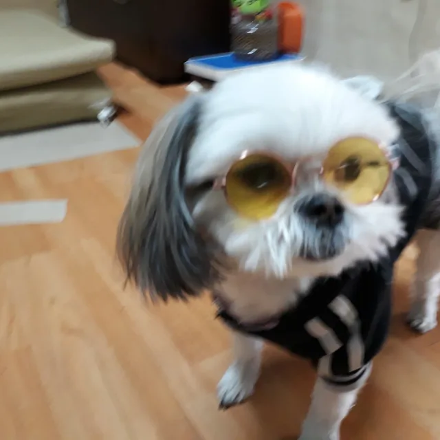 1764