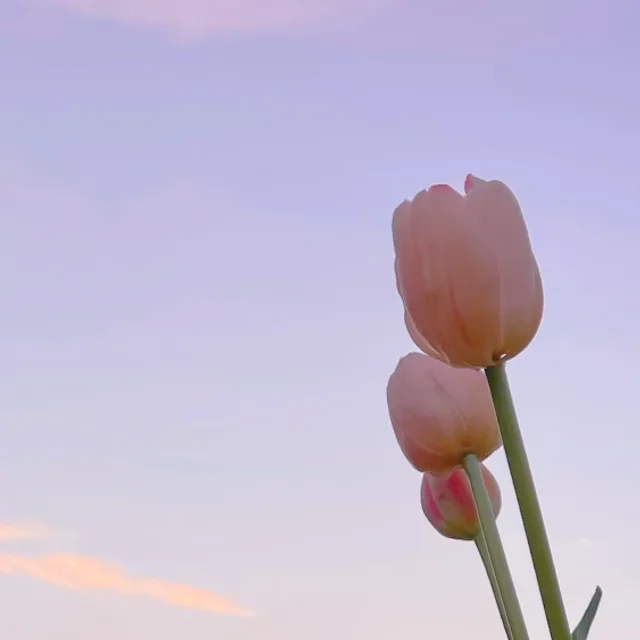 6학년