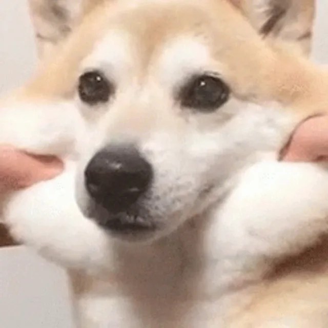 쿨거래