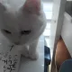 그냥그냥쏘쏘