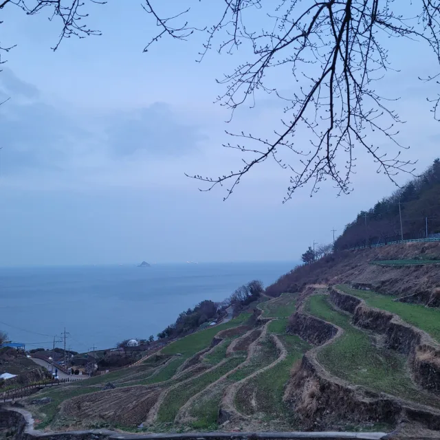 오늘도열심히