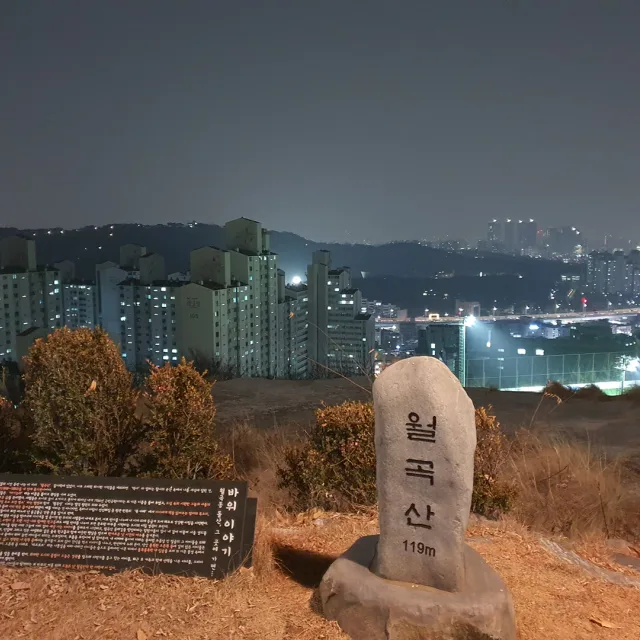 강코둥이맘