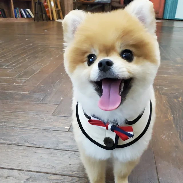 정글동선