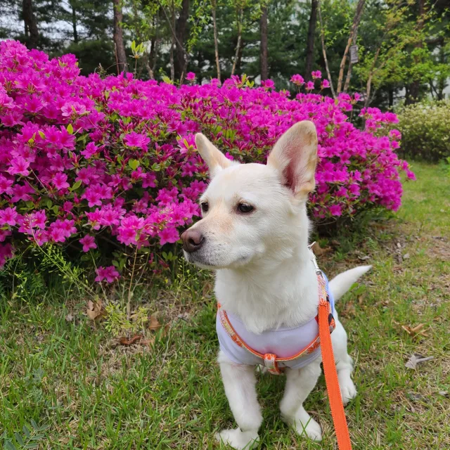 겨울맘