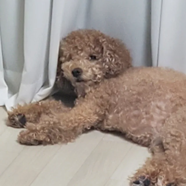 닉닉닉닉