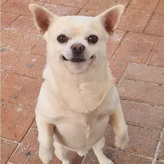 긍정의신