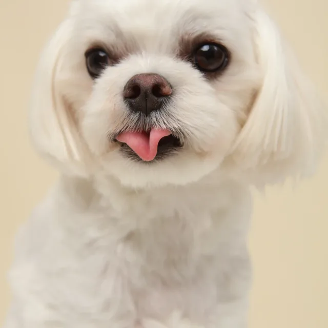 마르