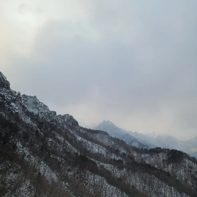 삐삐