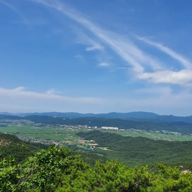 동네부자야