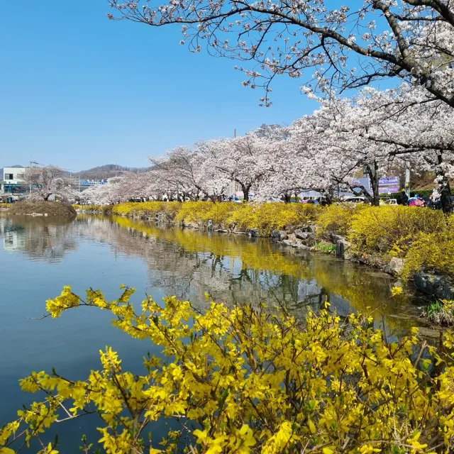 새공주