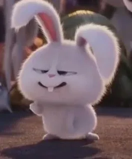 쥬디팍