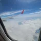시니