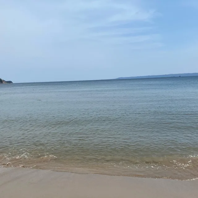 당근띠
