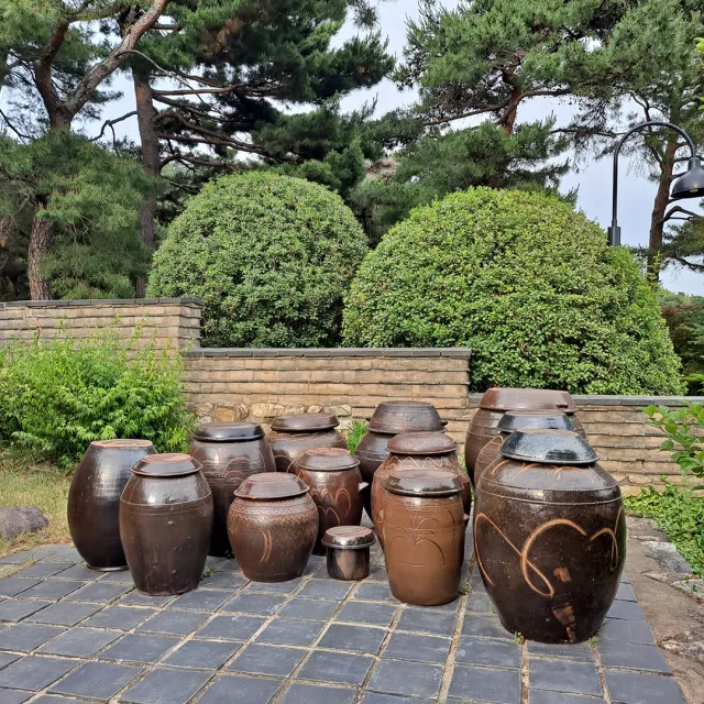 언제나이쁨