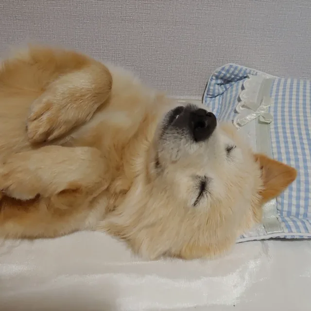 안녕바람아