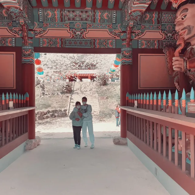 한가한짱구