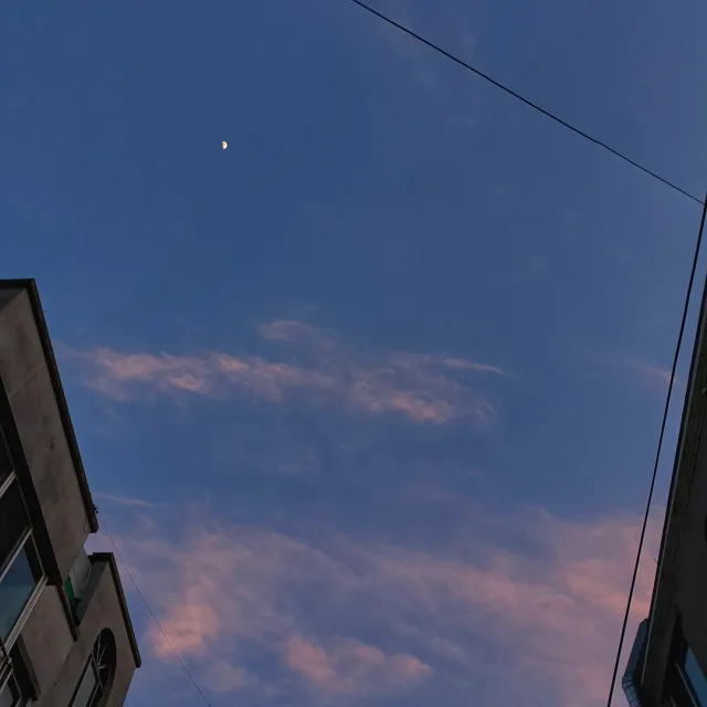 하루하루를