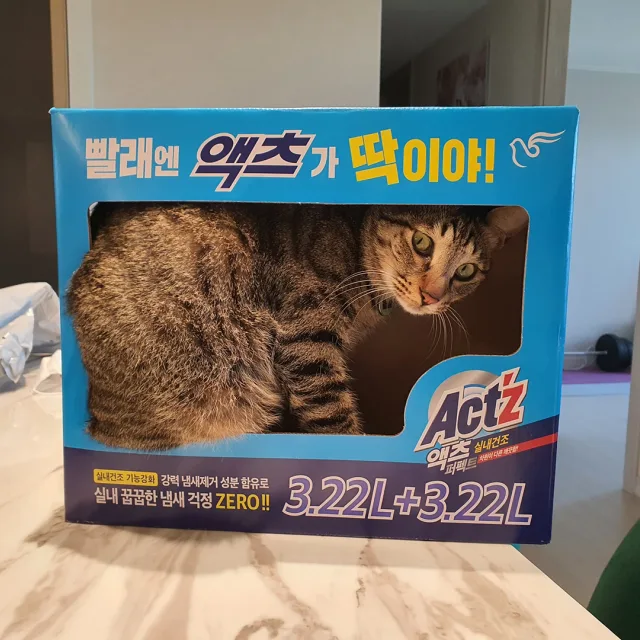 니콜킥