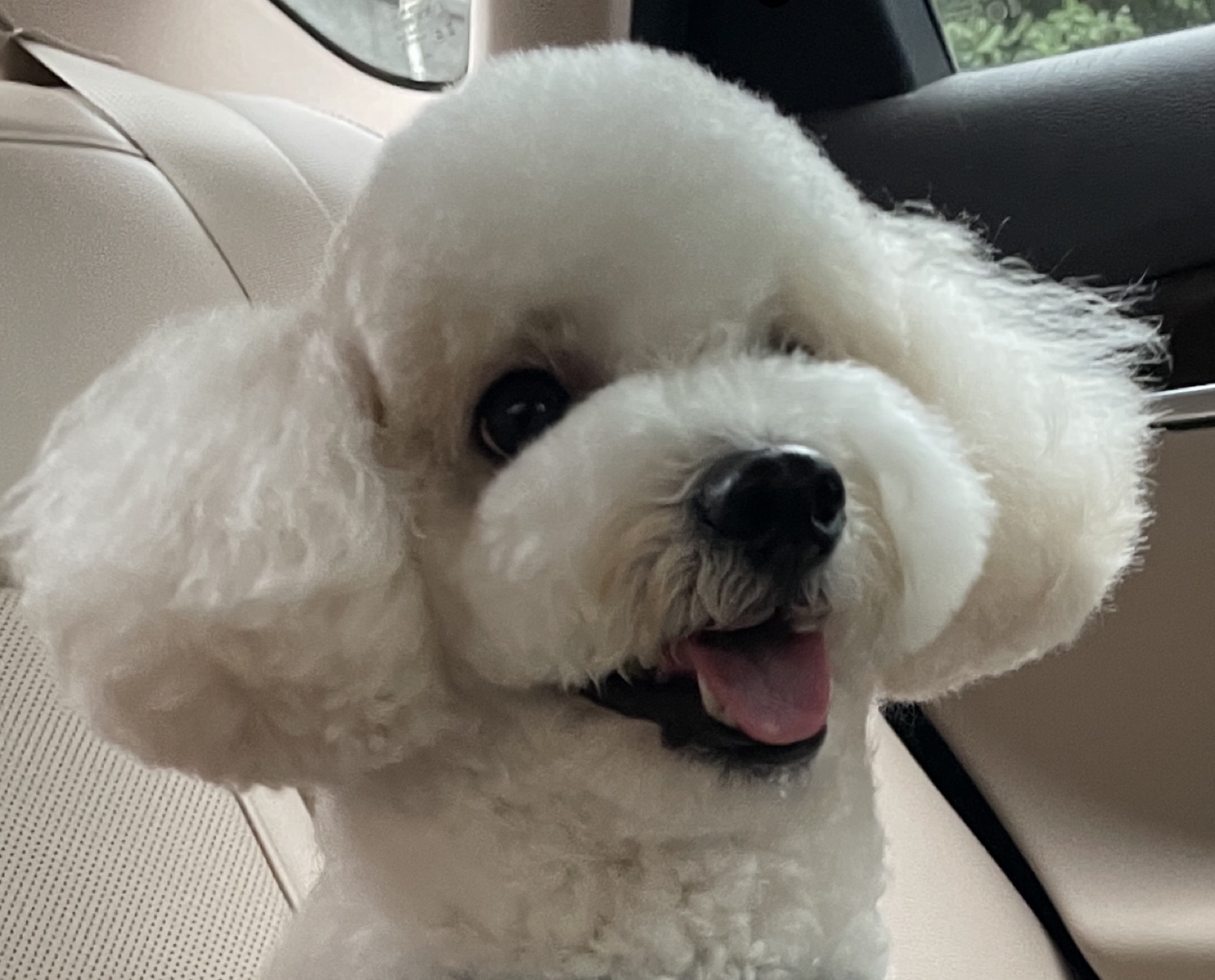 즉석만든