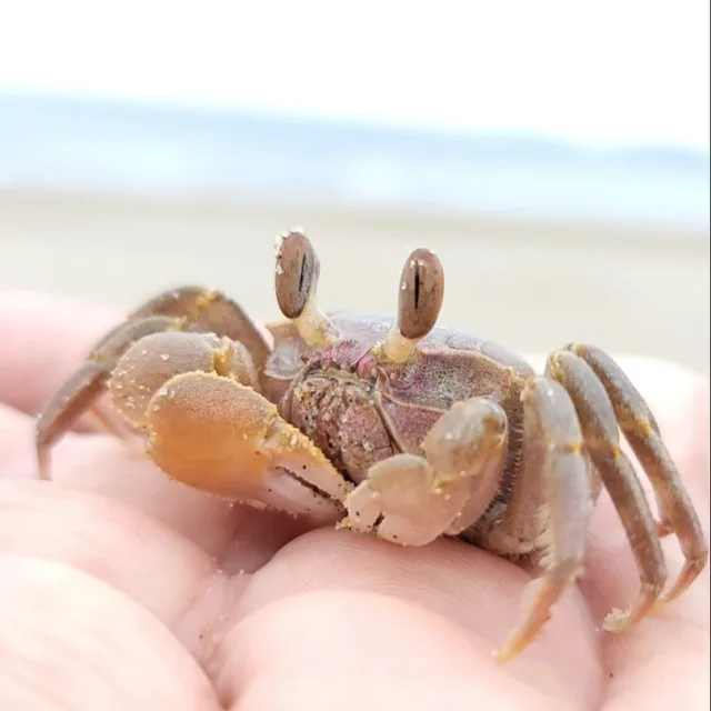 까불다꿍해쪄