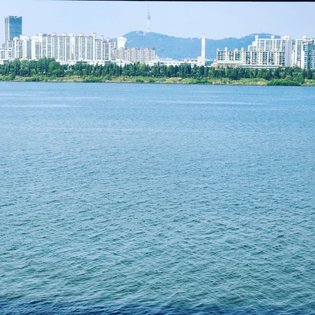 음악중동