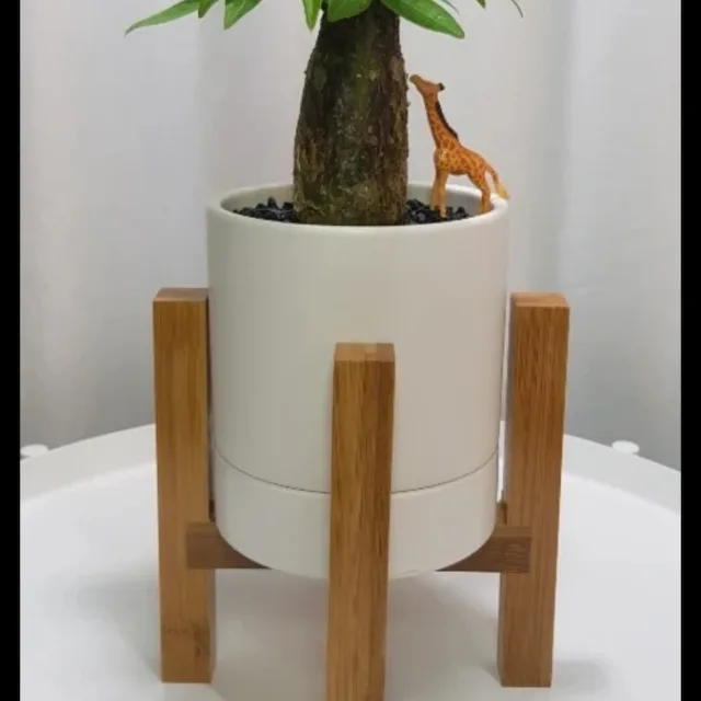 사랑이여라