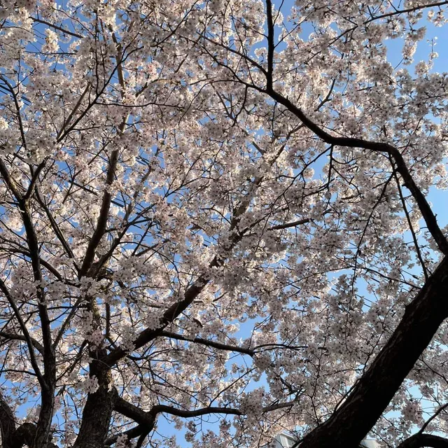 당긂