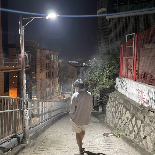 갈색수염