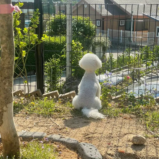 다복한그녀