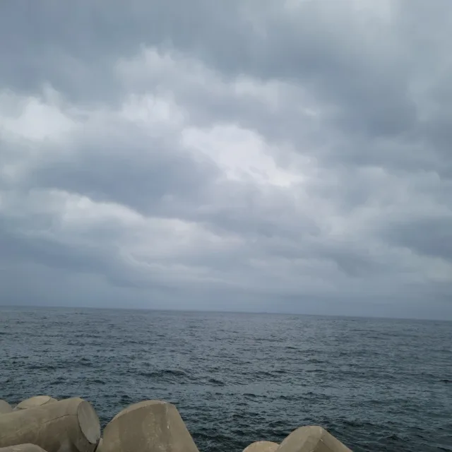 대한민국