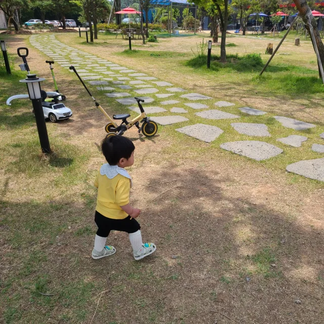 콩콩
