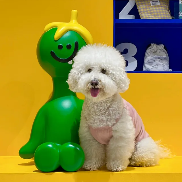 시흥돌멩이