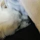 집이좋아