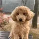 민철