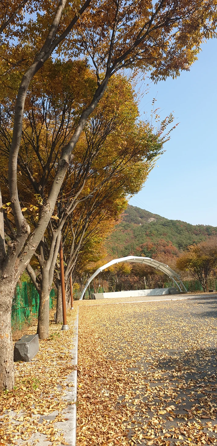 서희관