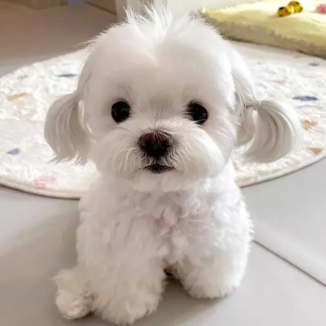 내방