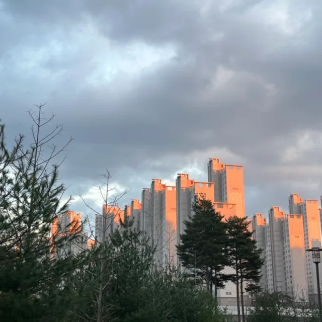 동해