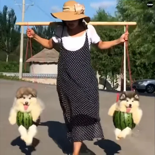은행
